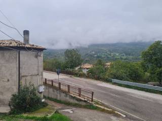 Vista