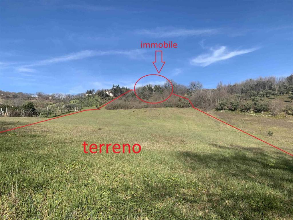 Terreno