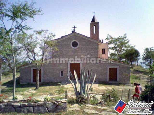 Zona