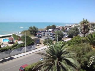Zona