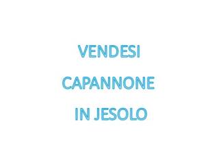 Altro