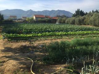Terreno