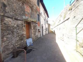 Zona