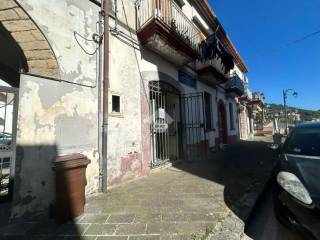 Zona