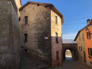 Zona