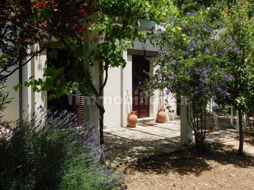 Giardino