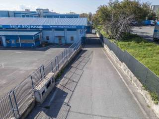 Ingresso