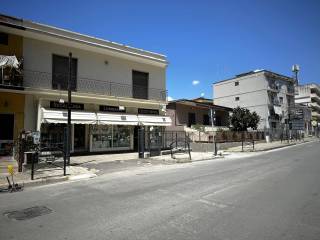 Zona