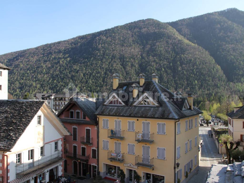 Vista