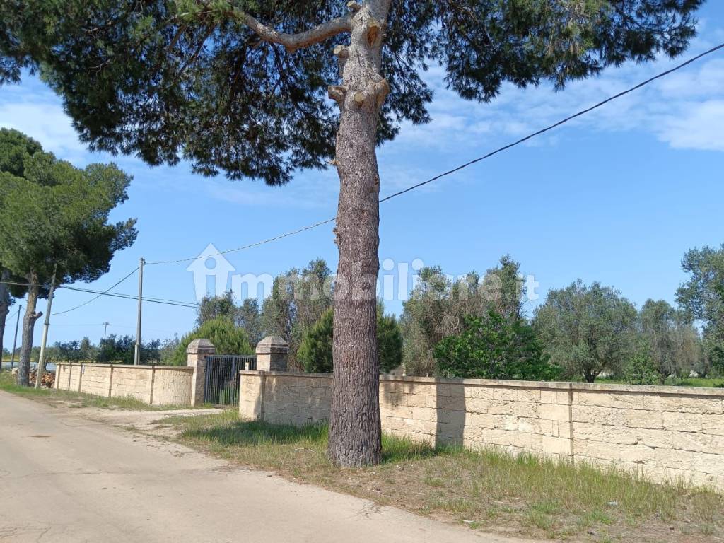 Facciata