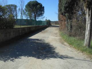 Zona
