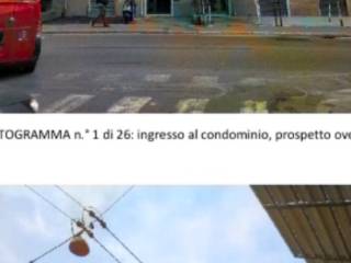Zona