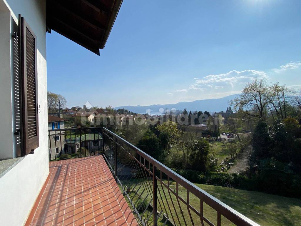 Vista