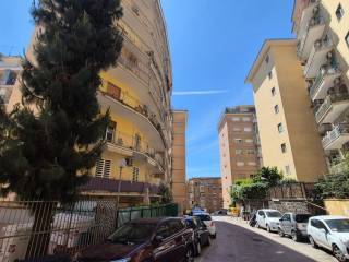 Zona