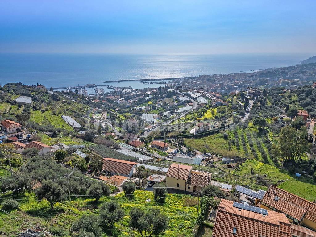 Vista