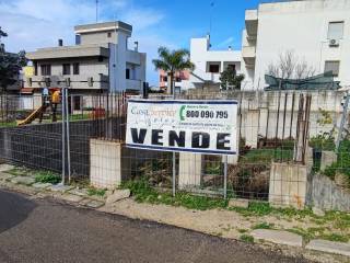 Zona