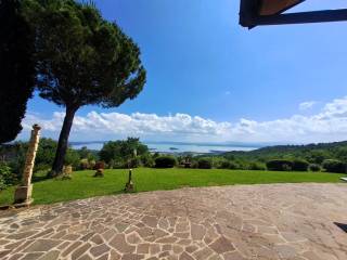 Vista