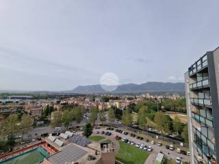 Vista
