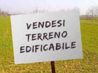 Zona