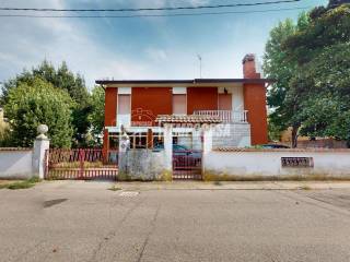 Zona