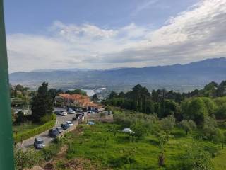 Vista