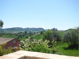 Vista