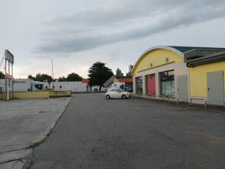 Zona