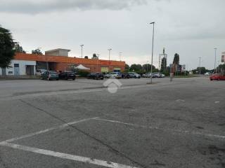 Zona