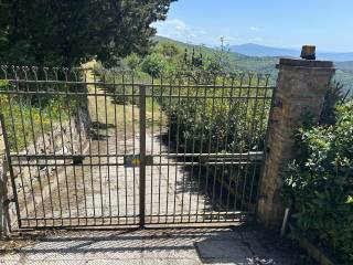 Ingresso