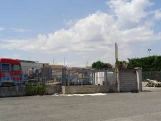 Zona