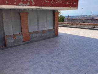 Zona