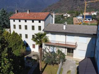 Vista
