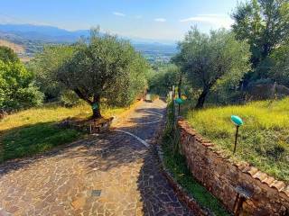 Vista