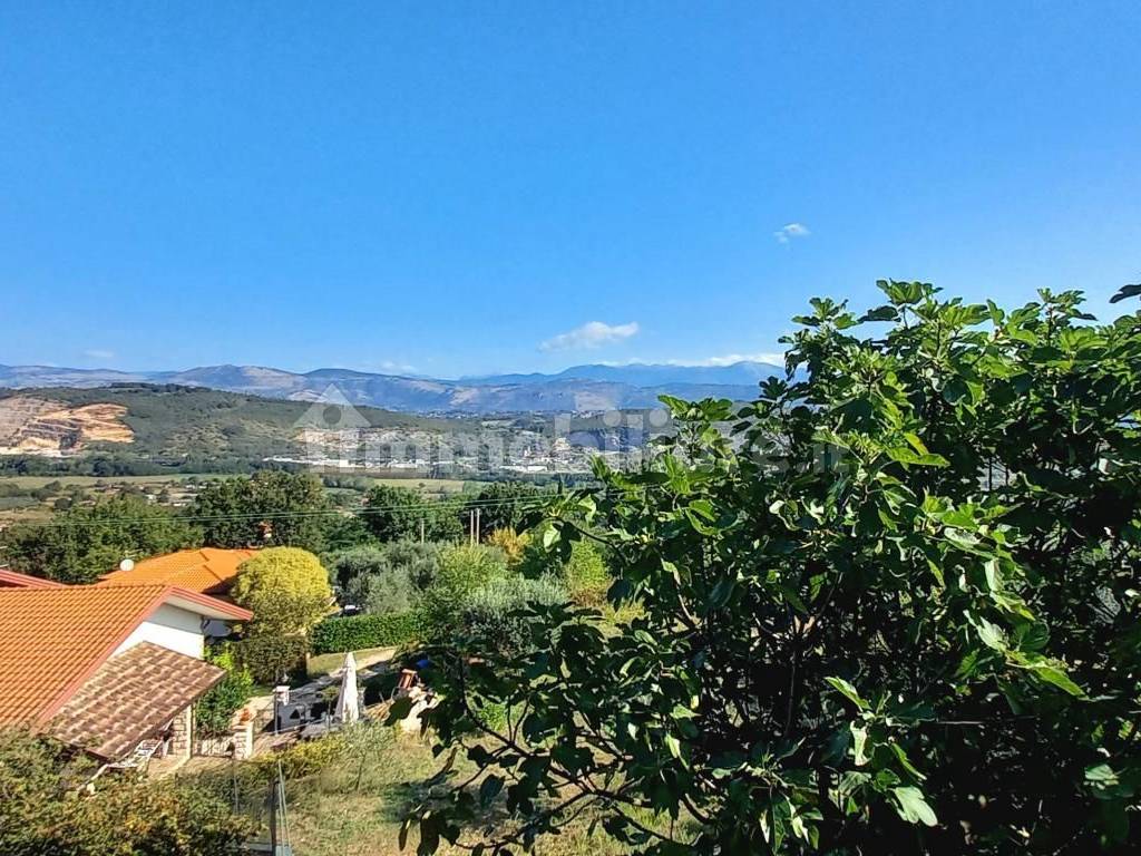 Vista