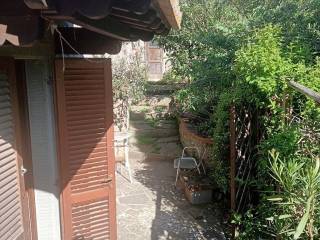 Ingresso