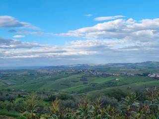 Vista