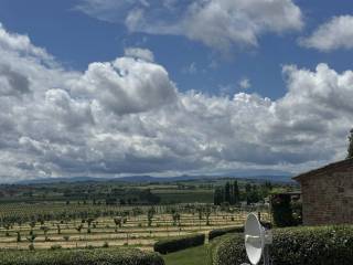 Vista