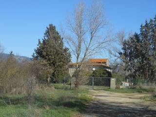 Ingresso