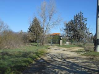 Ingresso