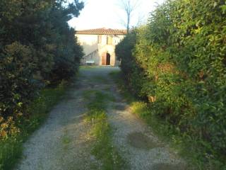 Ingresso