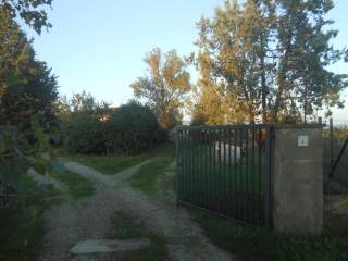 Ingresso