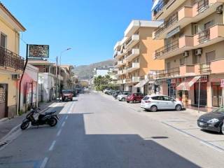 Zona