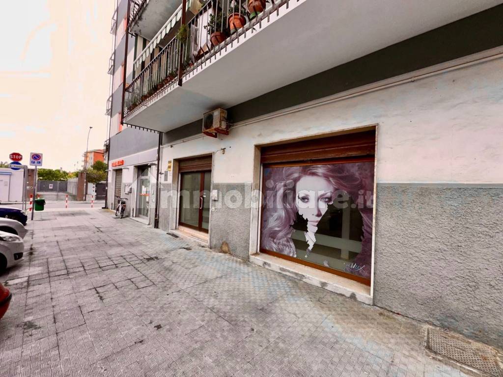 Zona