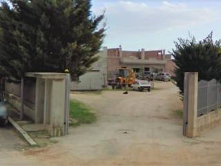 Zona