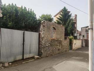 Zona
