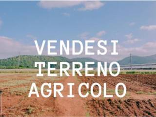 Altro