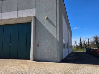 Ingresso