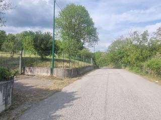 Zona