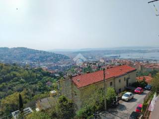Vista
