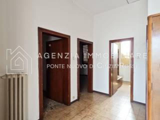 Ingresso
